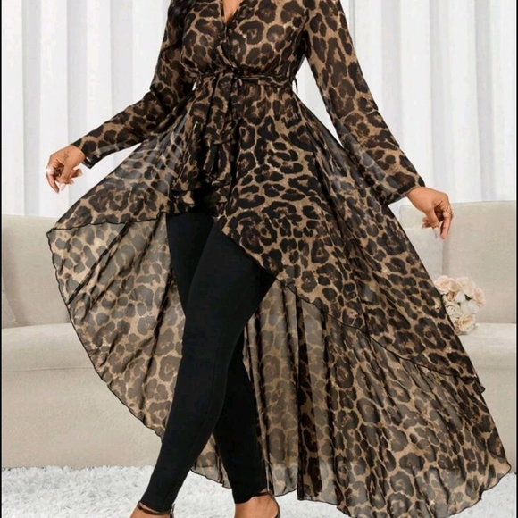 Leopard Print High-Low Dress - Picture 5 of 8